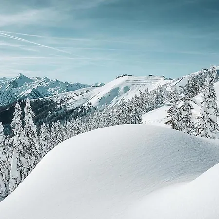 Molly By We Rent Alpstuga